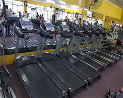 Commercial Gym Fitness Equipment