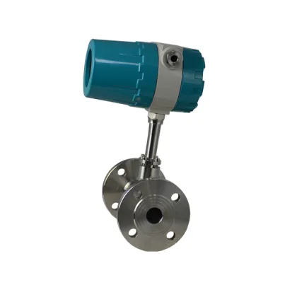 Thermal Mass Flowmeter Gas Meter Flow Instrument for Gas LNG