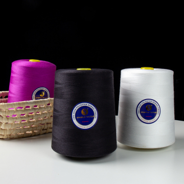 Wholesale 1000 Colors 40s/2 203 204 Polyester Sewing Yarn: Customized 1Kg Spun Threads