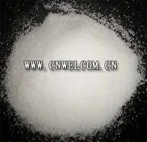 Polyacrylamide (PAM)