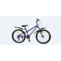 Tw-60 Mountain Bike Marco de hierro MTB Bicicleta