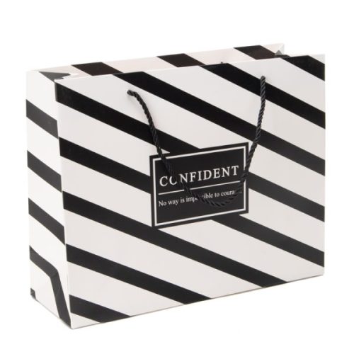 Fancy Gift Promotional Shopping Paper Bags