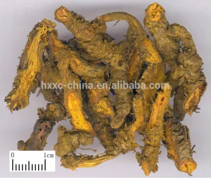 Dry Herb goldthread Rhizoma Coptidis Huang Lian