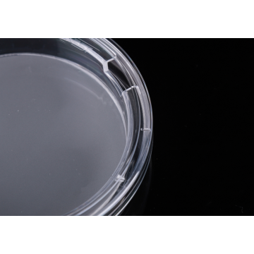 100mm Cell Culture Insert-dish