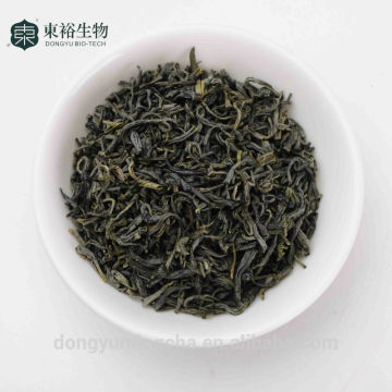 green tea recipe diet tea green tea for weight loss