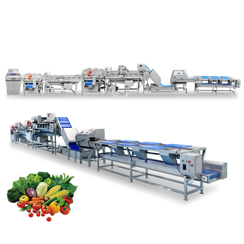 Produzione di trasformazione di frutta e verdura industriale