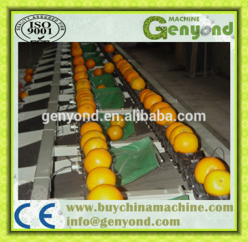 orange opto-electronic grading line