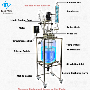 10L 20L 50L 100L 150L 200L Reactor de vidrio de doble capa de reactor de vidrio de la capa doble del laboratorio