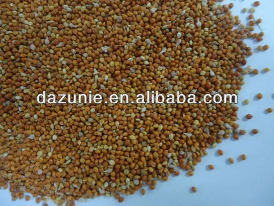 Red Millet in Husk