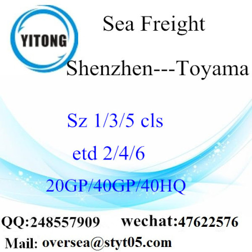 Shenzhen Port Sea Freight Shipping Para Toyama