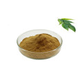 Food Grade Plant Extract eucalyptus extract