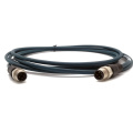 Shielded D-Code Straight M12 Male Cat.5e Cable