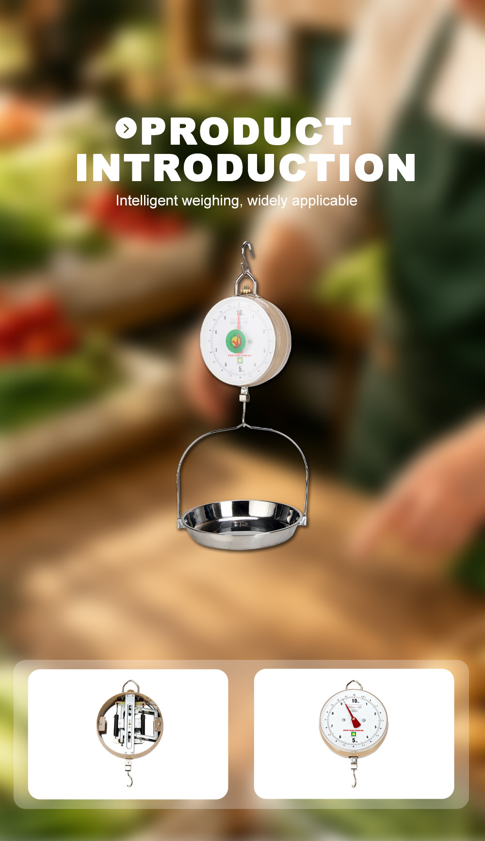RH‑G001 Dial Type Mechanical Hanging Spring Scale X