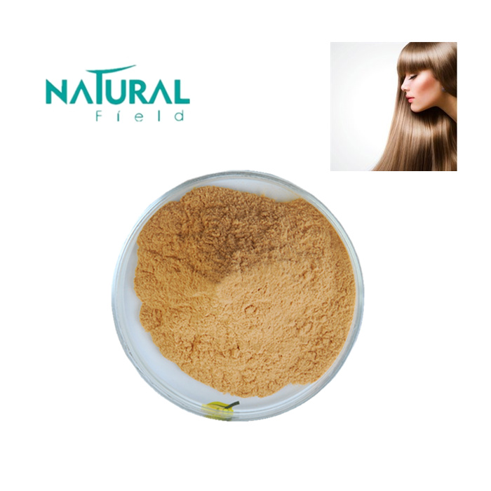 1% Beta-sitosterol Nettle Root extract Cas No. 83-46-5