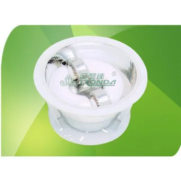 Induction Lighting Downlight