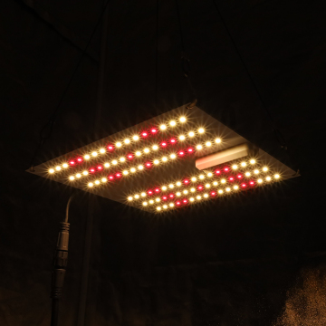 King Brite 35W Samsung LM301H with Epistar 660nm LED Seedling Grow Light