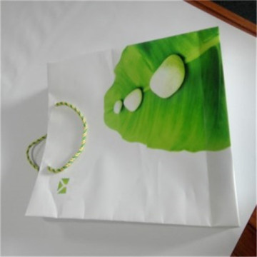 Design Stone Paper Shopping Bags