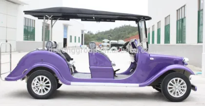 dekong electric car for sightseeing