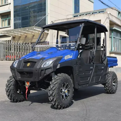 800cc 4x4 Dune Buggy/UTV