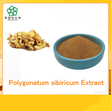 Extrait de polygonati / extrait de polygonatum sibicum