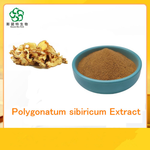 Extrato de Polygonati/ Polygonatum sibiricum Extract