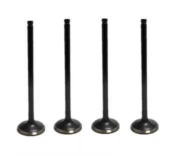 Premium Replacement Intake Valves for Diesel