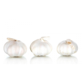 KNOBLAUCH FRISCHE NEUE SAISON