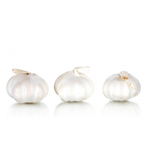 KNOBLAUCH FRISCHE NEUE SAISON