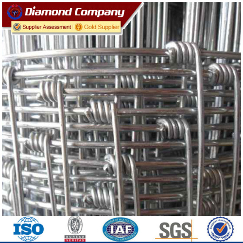 Sheep Fence/field wire mesh fence/Kraal Network with heavy zinc coated