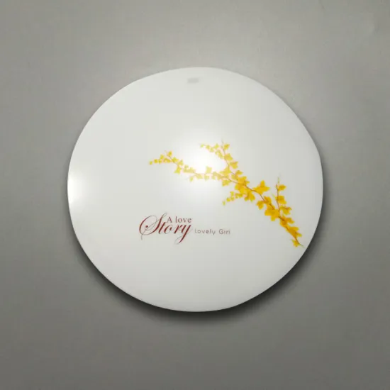 LED Lighting LED Ceiling Lamp