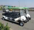 Carrinhos de golfe com bateria personalizada com caixa de carga