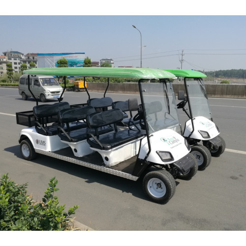 Carritos de golf personalizados con cargador de batería con caja de carga