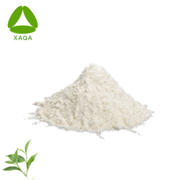 Quality Green Tea Extract L-theanine 99% 40% Powder