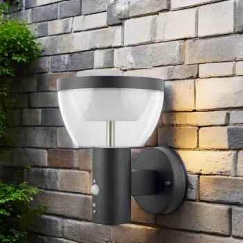 Stainless Steel Solar-Powered Outdoor Wall Light