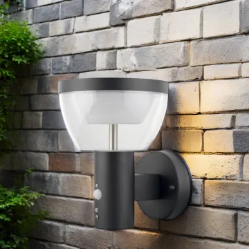 Stainless Steel Solar-Powered Outdoor Wall Light
