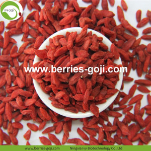 Goji organico secco rosso nutrizione calda di vendita