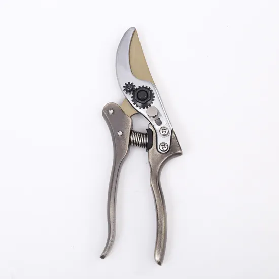 Multi-functional Adjustable Beak Shape Stainless Steel Fruit Branch Shears