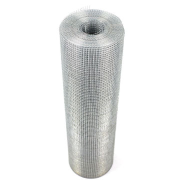 Top Sale Galvanized Welded Wire Mesh Roll for Garden Fence