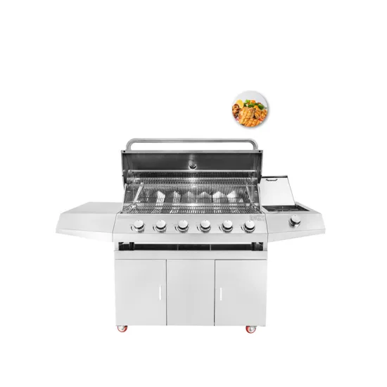 Gas Barbecue Grill Bbq Outdoor Barbeque Grill
