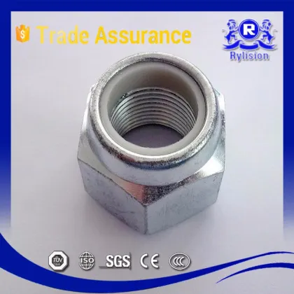 OEM Turning Parts Non-standard Nuts