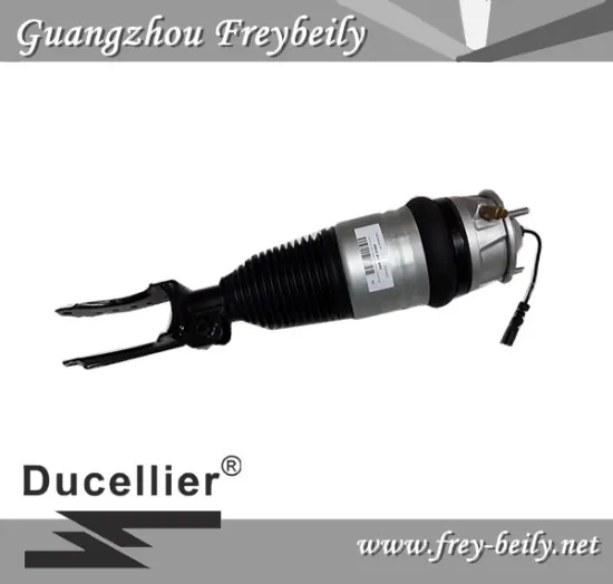 7L6 616 039N/ 7L6 616 040N Left Front/ Right Front Air Suspension Shock for Volkswagen Tourage