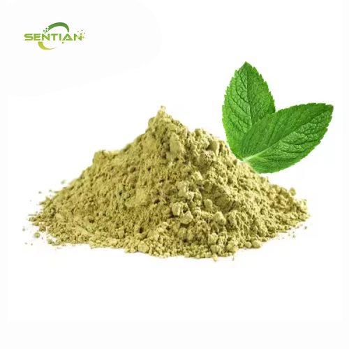 High-quality food-grade Peppermint Powder Peppermint extract
