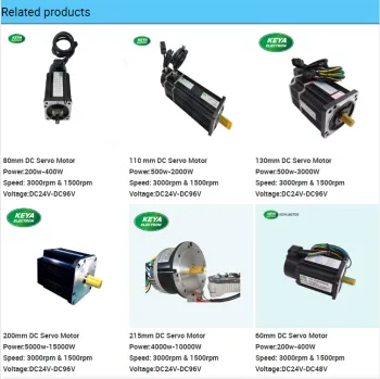 60mm 48v 200w 400w Dc Servo Bldc Motor