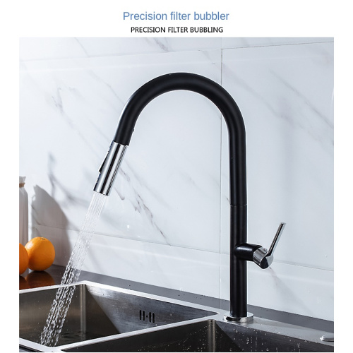 Contemporary black Stainless Steel kitchen faucet