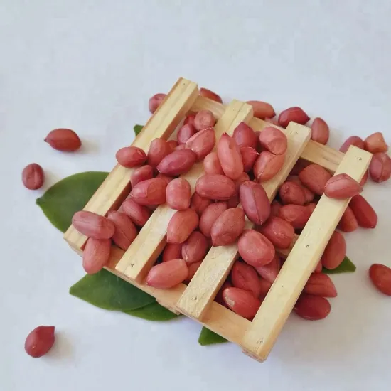 New crop Shandong peanut kernels raw