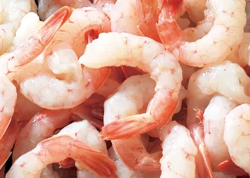 Frozen White Shrimp Frozen Fresh Water Shrimp