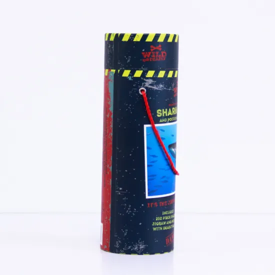 CMYK printing paper tube gift box with rope