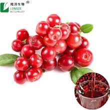Pure natural cranberry extract powder cranberry fruit powder