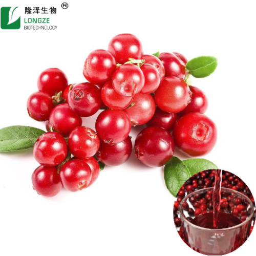 Hi-Q Cranberry Fruit Powder