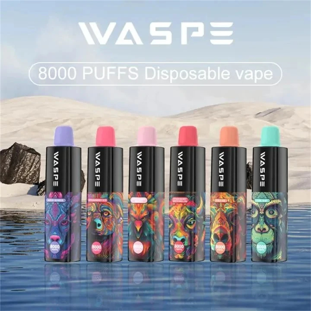 waspe 8000 (9)